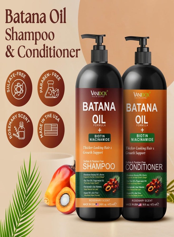 VANIDOX Batana Oil Shampoo and Conditioner Set – Biotin & Niacinamide Infused – Sulfate-Free, Paraben-Free – Moisturizing & Strengthening Hair Care for All Hair Types – 2 x 16 fl oz - Image 2